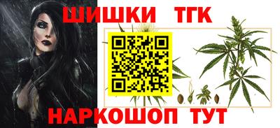 скорость Вышний Волочёк