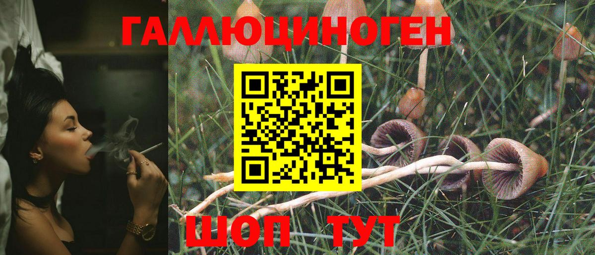 Галлюциногенные грибы Cubensis Кашира