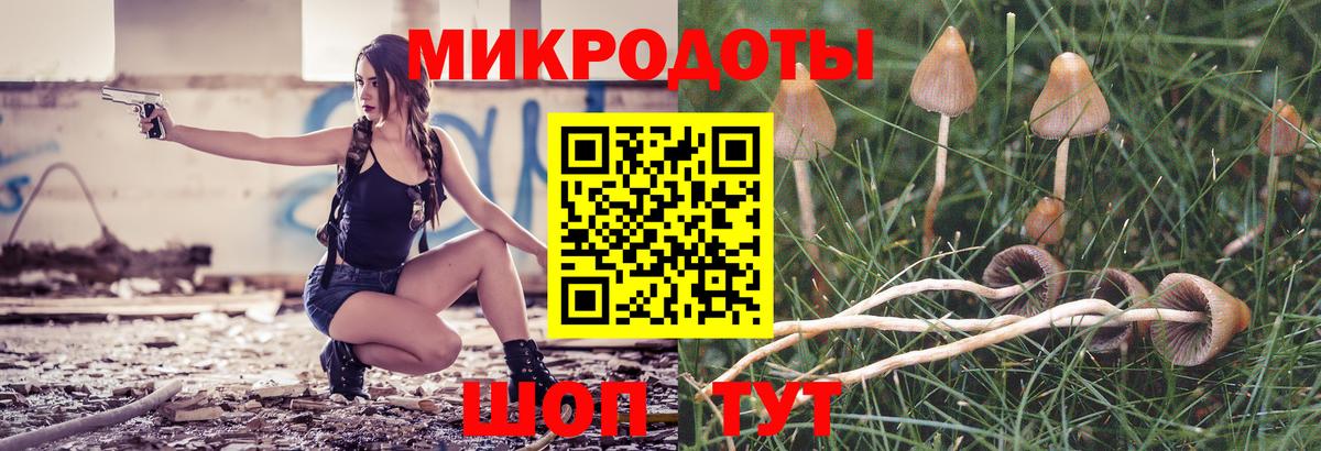Галлюциногенные грибы Psilocybine cubensis  Вход с VPN  Кашира 